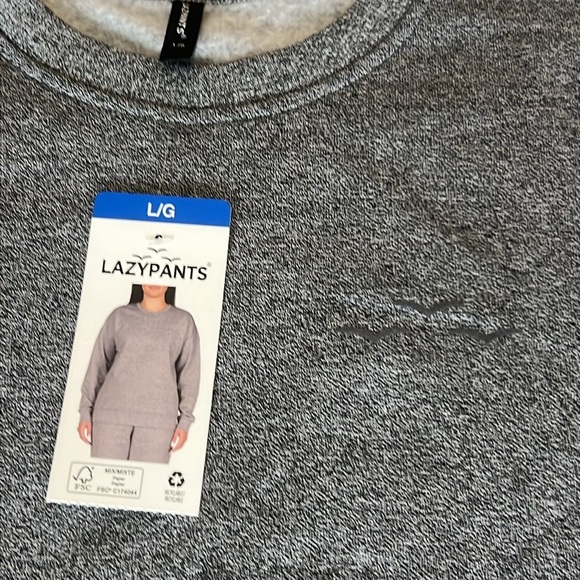 NWT Women’s Grey Sweatshirt sz L & XL - Picture 2 of 2